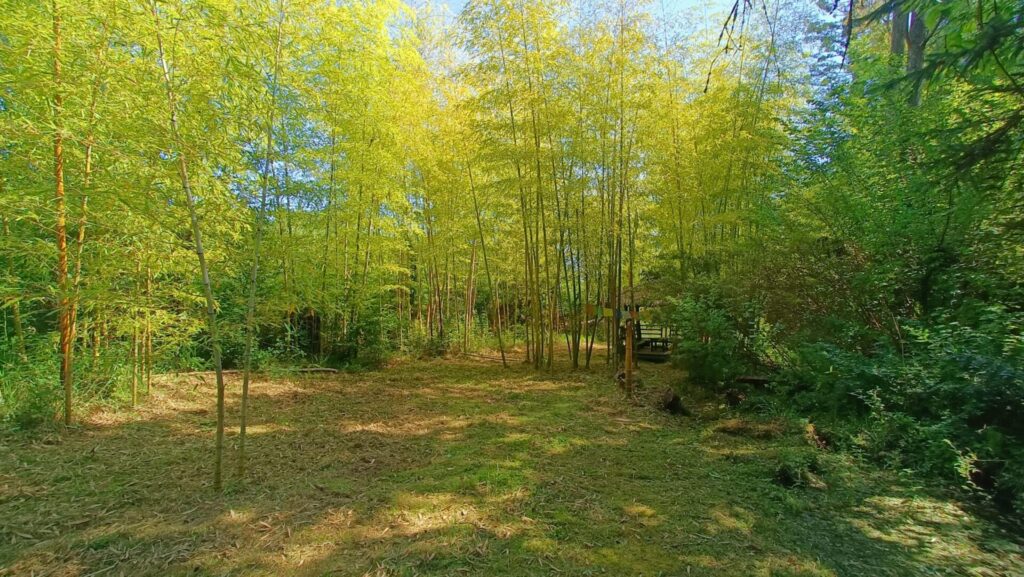 WhatsApp Image 2025-07-01 à 13.37.29_dfaa5467